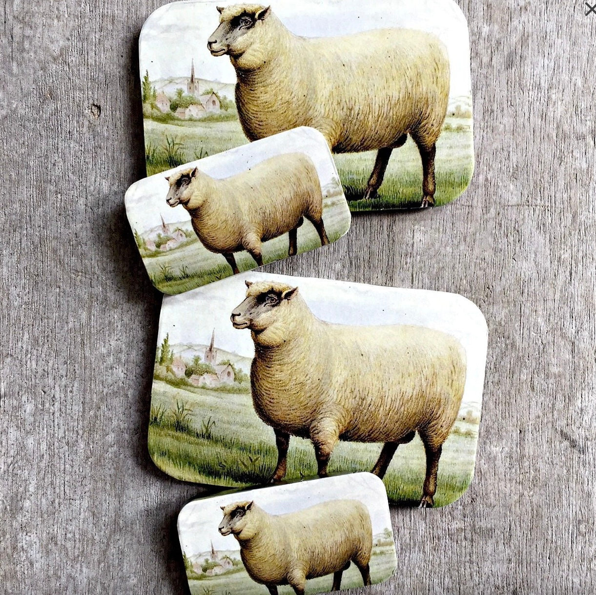 metal tin with sheep artwork