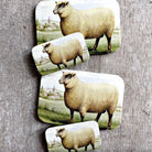 metal tin with sheep artwork