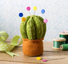 cactus pin cushion