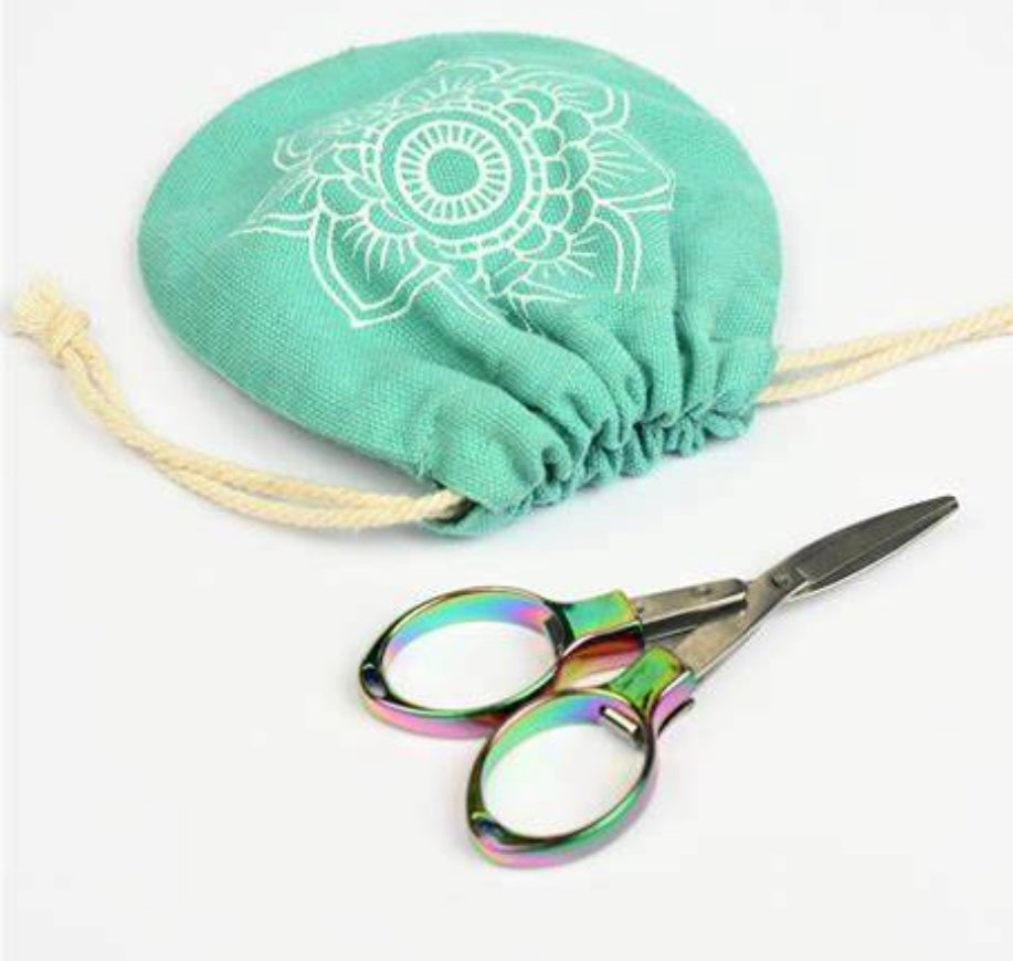 folding scissors and carrying case